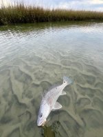 IMG_8673.jpeg