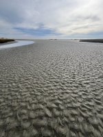 IMG_8680.jpeg