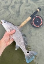 IMG_8675.jpeg