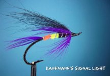 Kaufmann's Signal Light.jpg