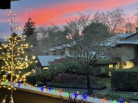 IMG_8196.jpeg