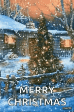 IMG_20231225_074203.gif