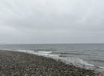 IMG_5996.jpeg