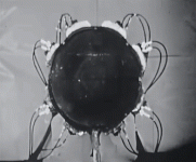 20231225_183432.gif