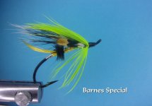 Barnes Special2.jpg