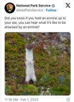 IMG_5485.jpeg