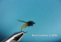 Back Country Caddis.jpg