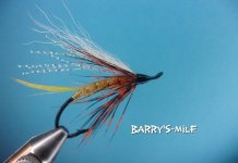 Barry's-MILF.jpg