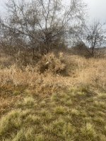 IMG_6682.jpeg