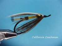 california coachman.jpg