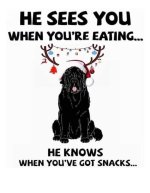 FB_IMG_1703655843598.jpg