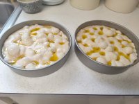 IMG20231228122716.jpg