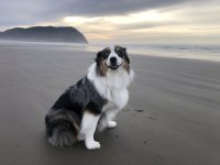 IMG_1174.jpeg