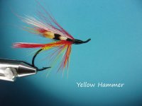 Yellow Hammer.jpg