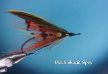 Black Skagit Spey.jpg