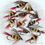 IMG_1611 2.jpg