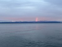 IMG_8378.jpeg