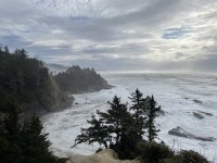 IMG_2663.jpeg