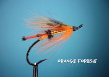 Orange Forbsie.jpg