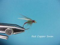 Red Copper Swan.jpg