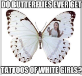 1000005435.png