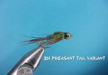 BH Pheasant Tail Variant.jpg BH Pheasant Tail Variant.jpg