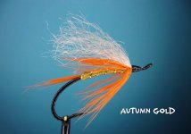 Autumn Gold.jpg Autumn Gold.jpg