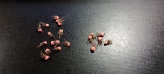 pink squirrels.jpg