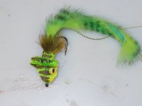 snake2.JPG snake2.JPG