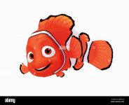 nemo.jpg nemo.jpg