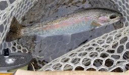 20240101_FirstFishSS.jpg 20240101_FirstFishSS.jpg