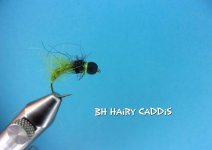 BH Hairy Caddis.jpg