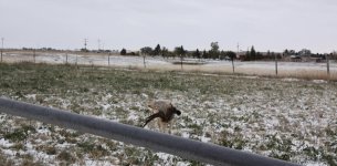 IMG_1389.jpeg IMG_1389.jpeg