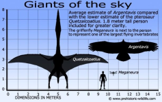 1704226668565.png