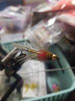 20240102_155851.jpg
