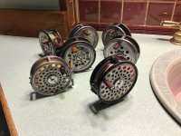 IMG_3511.jpeg IMG_3511.jpeg