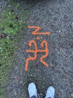 IMG_0522.jpeg