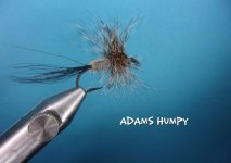 Adams Humpy.jpg
