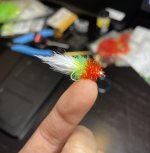 IMG_2309.jpeg