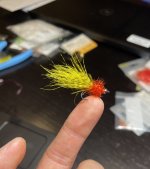 IMG_2312.jpeg