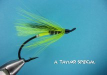 A. Taylor Special.jpg