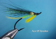 Ace of Spades.jpg