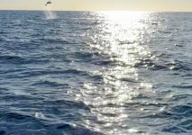 IMG_2572.jpeg