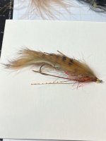 IMG_3348.jpeg IMG_3348.jpeg