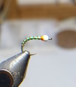 20240104_142957~2.jpg