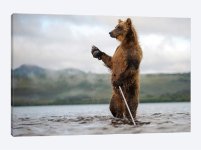 bear staff - Copy (1).jpg