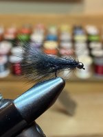 IMG_2040.jpeg