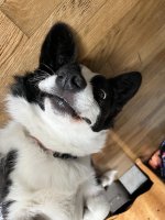 1704462127886.jpeg 1704462127886.jpeg
