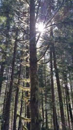 20160326_140422.jpg