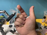 IMG_3886.jpeg